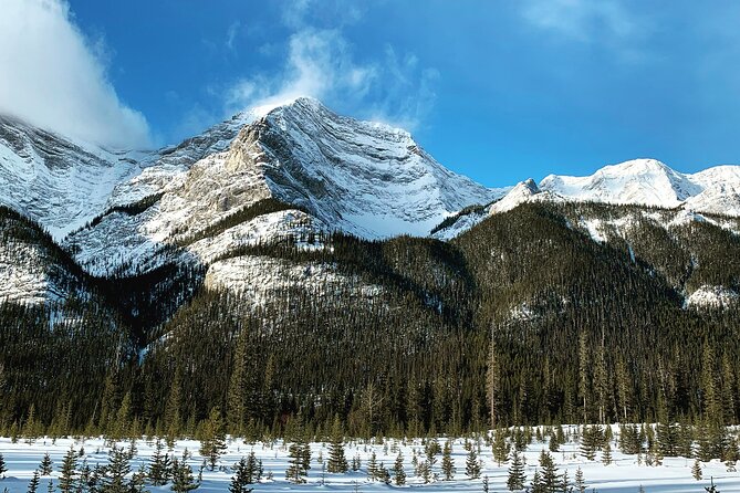 Canmore: Wilderness & Wildlife Tour - 2hr Walk - Is $90.07 a fair price?