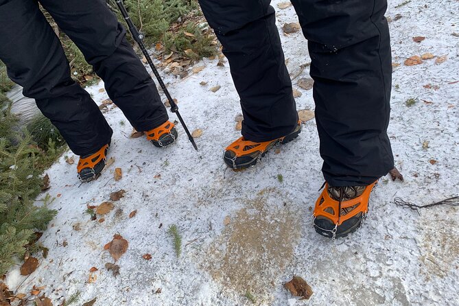 Canmore: Wilderness & Wildlife Tour - 2hr Walk - Who should book this walk?