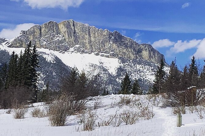 Canmore: Wilderness & Wildlife Tour - 2hr Walk - Weather, group size, and cancellation rules