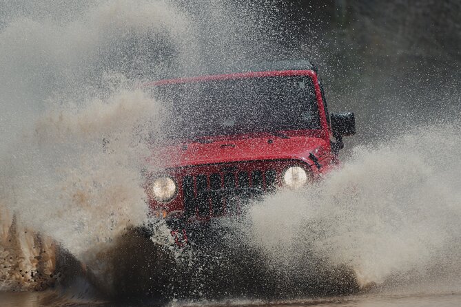 Cape Breton Jeep Adventure (4hr) - Key points to know before booking