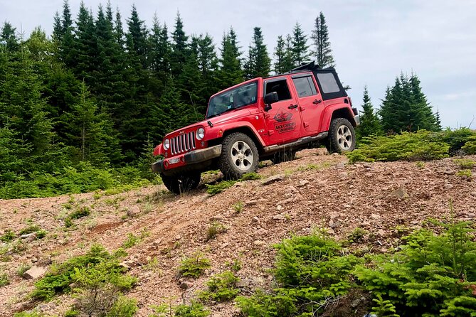Cape Breton Jeep Adventure (4hr) - Why this Margaree Valley Jeep tour feels different
