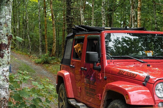 Cape Breton Scenic Jeep Adventure - One hour among the Margaree Valley roads