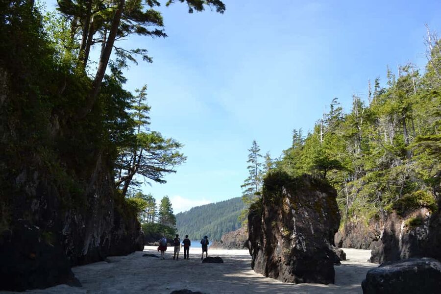 Cape Scott: San Josef Bay Day Hike with Scenic Drive - Key points to know before you book