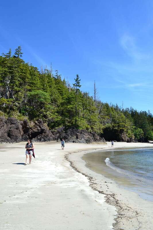 Cape Scott: San Josef Bay Day Hike with Scenic Drive - A guide-led day rather than a quick transfer