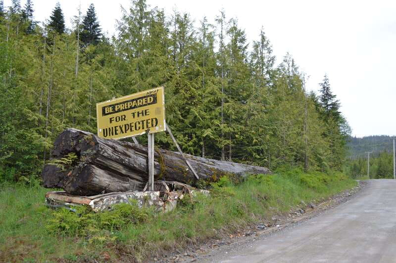 Cape Scott: San Josef Bay Day Hike with Scenic Drive - What the $274 price includes