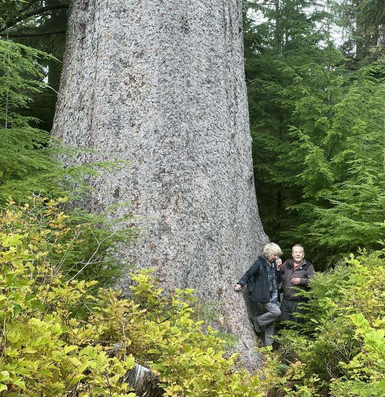 Cape Scott: San Josef Bay Day Hike with Scenic Drive - From Port Hardy to Holberg by passenger van