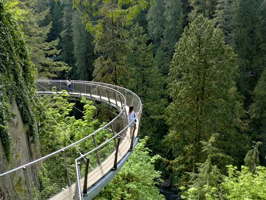 Capilano Br+Grouse Mtn+Dam+Lake&Hatcher/5in1/Small Group/Car - Capilano Suspension Bridge: the busiest stop, and the main event