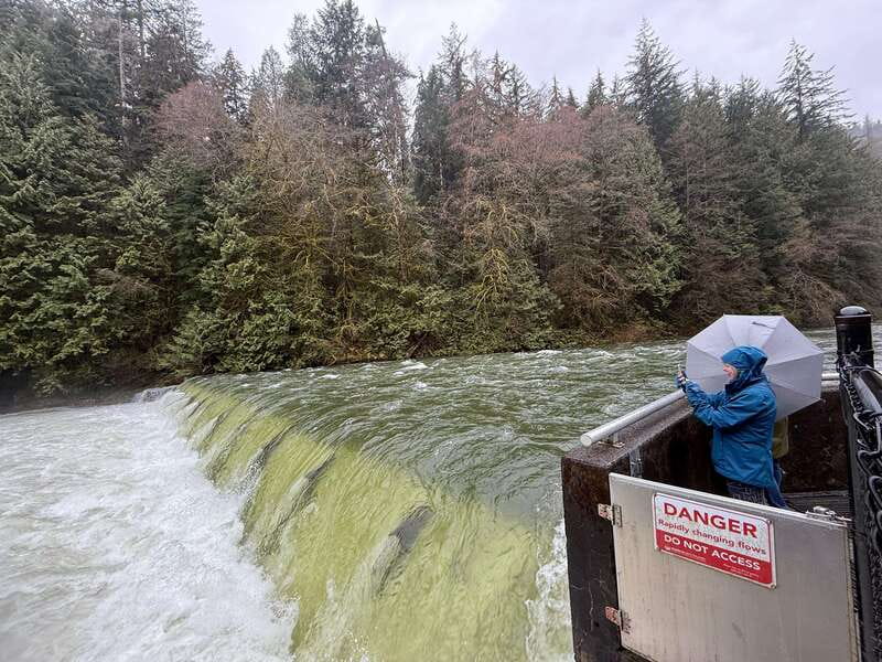 Capilano Br+Grouse Mtn+Dam+Lake&Hatcher/5in1/Small Group/Car - Grouse Mountain brings bears, views, and seasonal activities