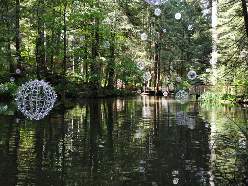 Capilano Br+Grouse Mtn+Dam+Lake&Hatcher/5in1/Small Group/Car - Who should book this North Shore tour?