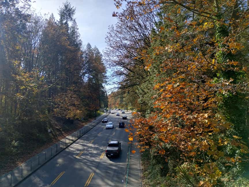 Capilano Suspension Br+Lake+Dam+Hachery/4in1/CAR/Small GROUP - Should you book it?