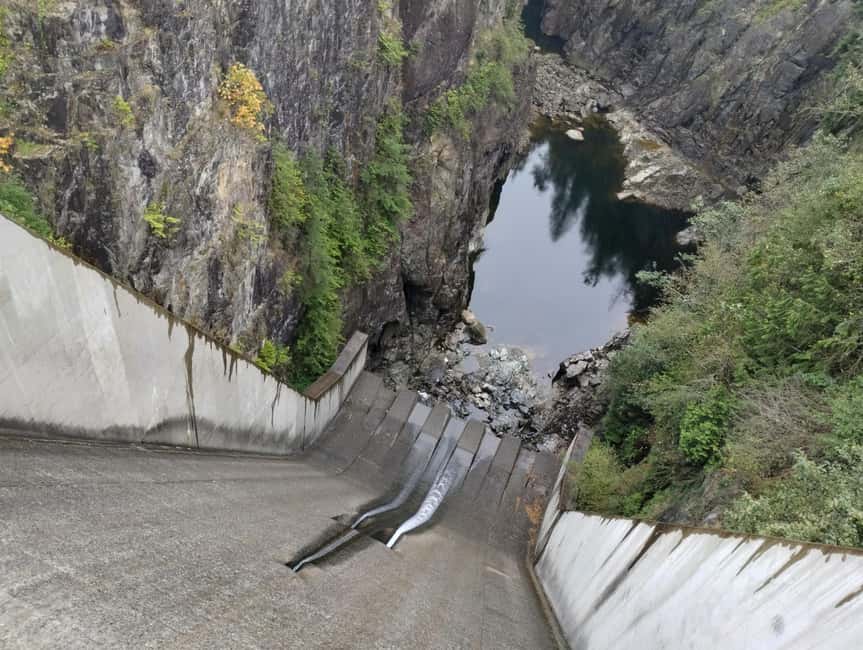 Capilano Suspension Br+Lake+Dam+Hachery/4in1/CAR/Small GROUP - From Stanley Park to the Lions Gate Bridge