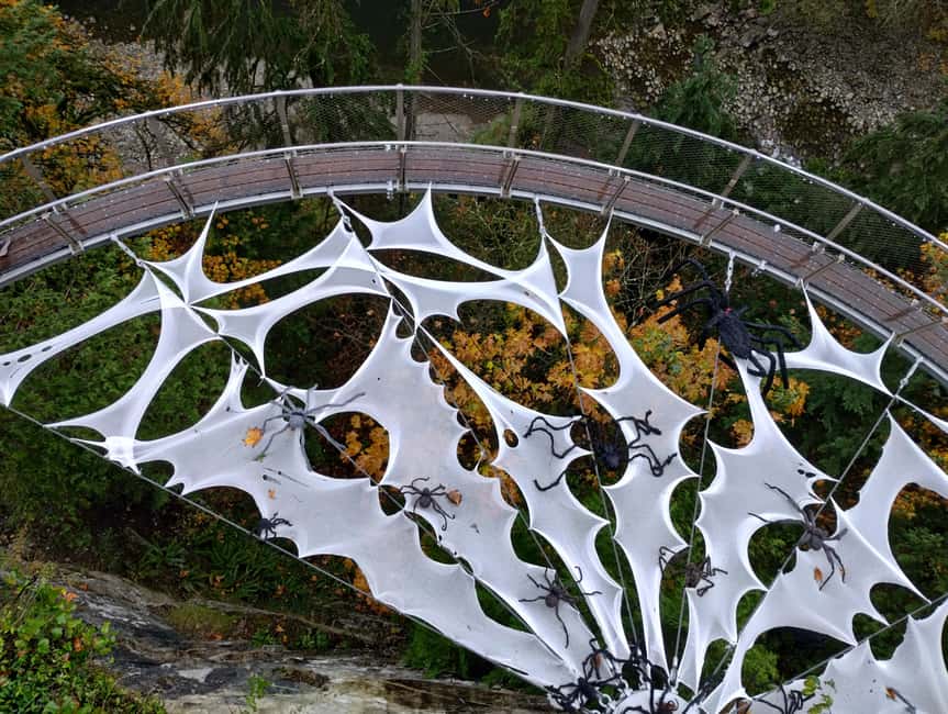 Capilano Suspension Br+Lake+Dam+Hachery/4in1/CAR/Small GROUP - Cliffwalk and the forest above the canyon