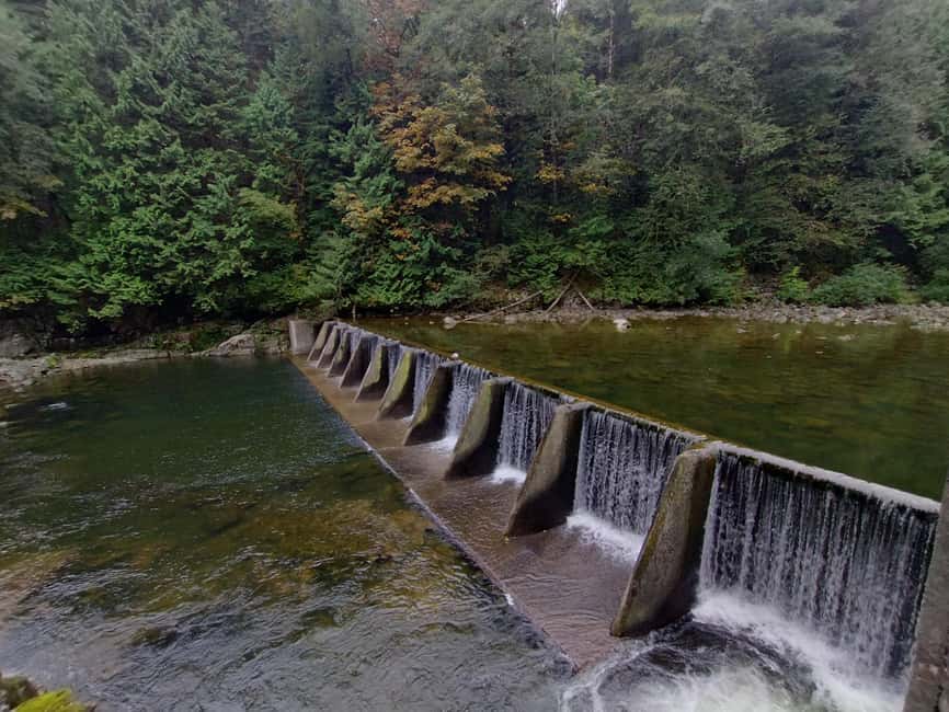 Capilano Suspension Br+Lake+Dam+Hachery/4in1/CAR/Small GROUP - Comfort, group size, and the pickup details that matter