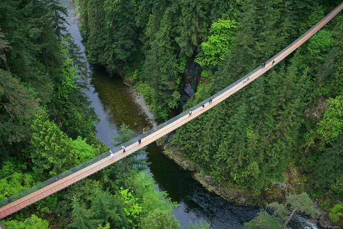 Capilano Suspension Bridge + Grouse Mountain Tour - What the guides add to the day