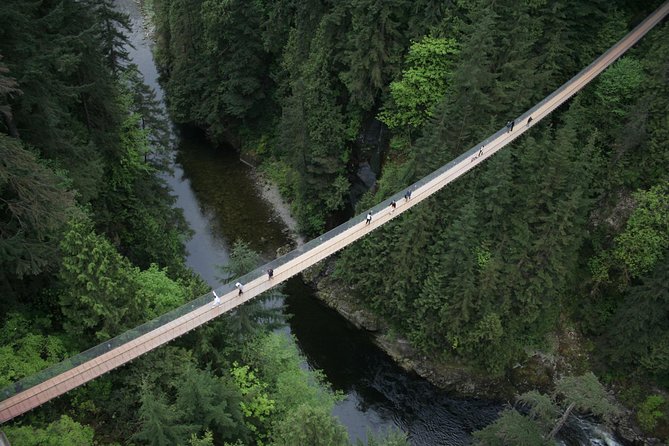 Capilano Suspension Bridge Park Ticket - Why Capilano feels bigger than one bridge