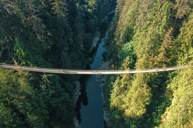 Capilano Suspension Bridge Park Ticket - Cliffwalk along the granite canyon wall