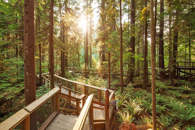 Capilano Suspension Bridge Park Ticket - How long should you spend inside?