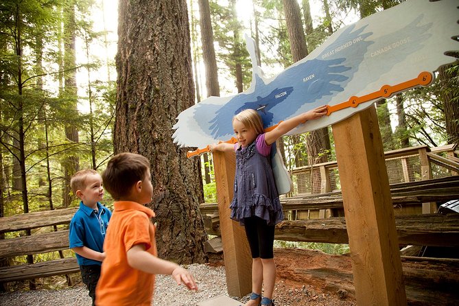 Capilano Suspension Bridge Park Ticket - Crossing the main bridge 230 feet above the Capilano River