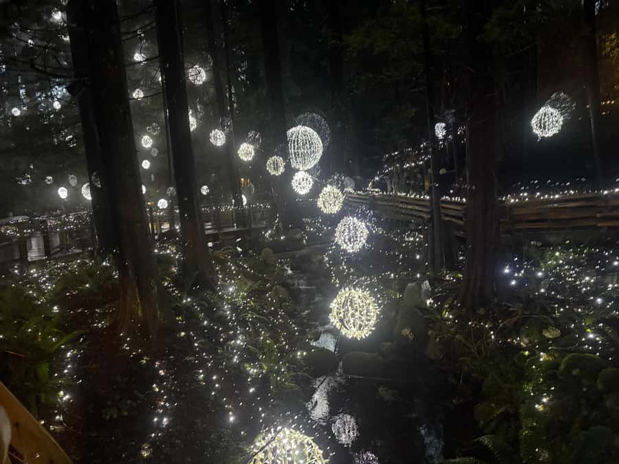 Capilano Suspension Bridge/Private/Small Group/By LUX CAR - Key Points at a Glance