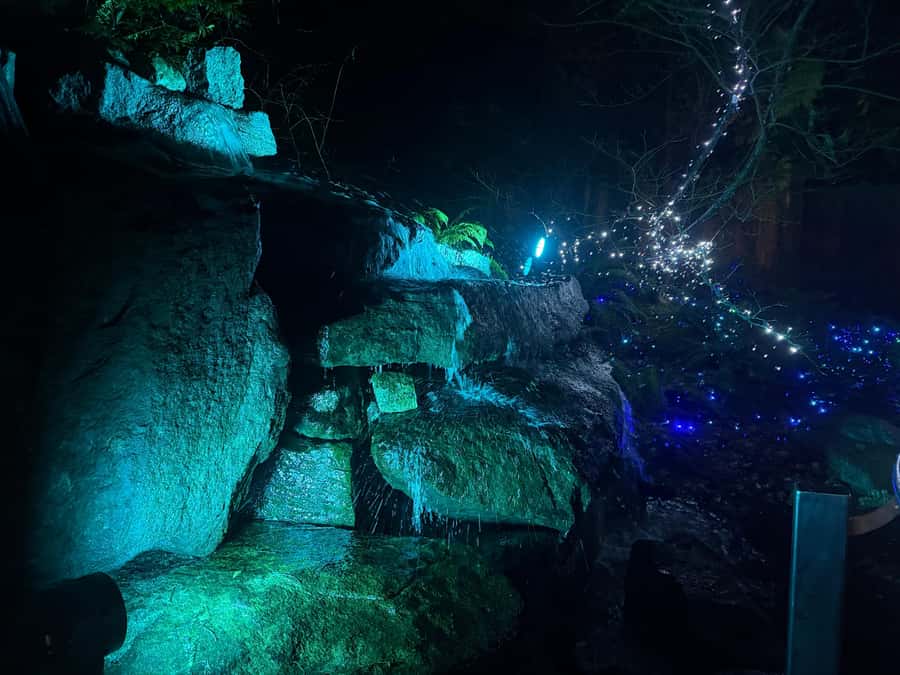 Capilano Suspension Bridge/Private/Small Group/By LUX CAR - How Long You Really Need at Capilano