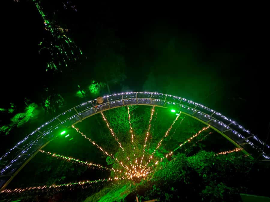 Capilano Suspension Bridge/Private/Small Group/By LUX CAR - Lions Gate Bridge and the North Shore View