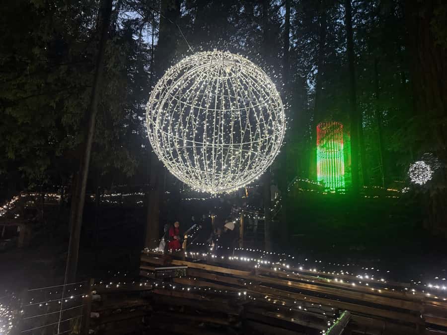 Capilano Suspension Bridge/Private/Small Group/By LUX CAR - Crossing the 137-Meter Capilano Suspension Bridge