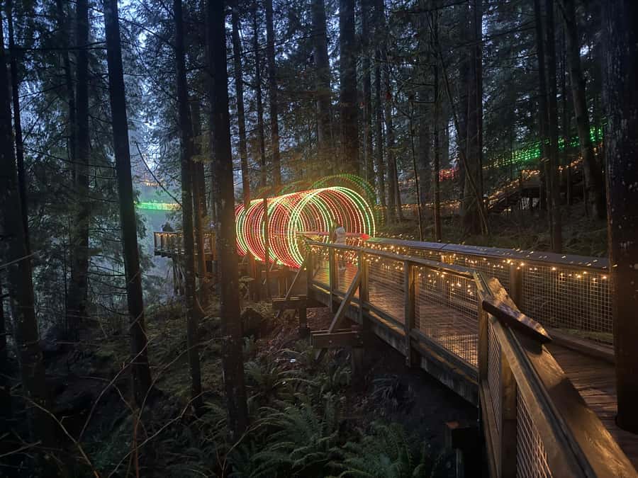 Capilano Suspension Bridge/Private/Small Group/By LUX CAR - Treetops Adventure Among the Forest Canopy