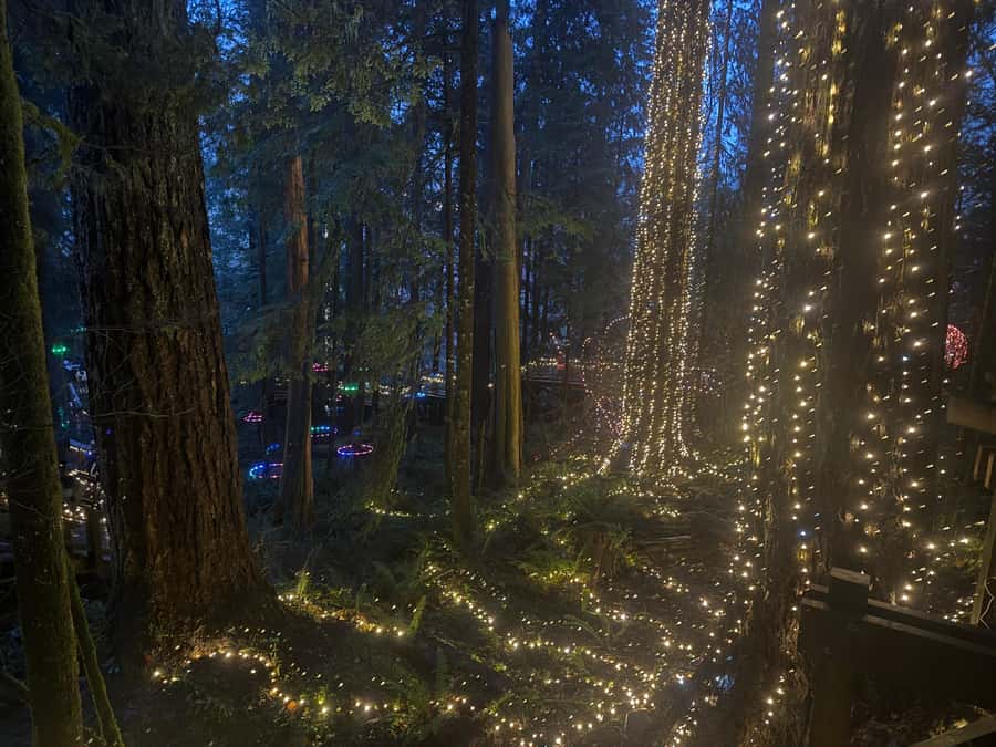 Capilano Suspension Bridge/Private/Small Group/By LUX CAR - Cliffwalk Along the Granite Canyon