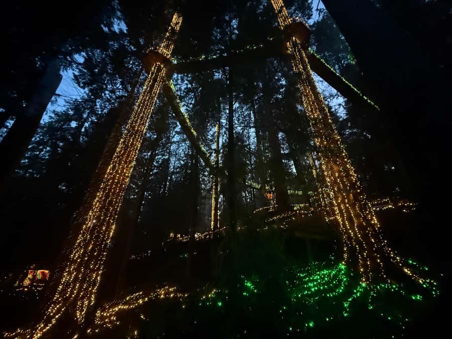 Capilano Suspension Bridge/Private/Small Group/By LUX CAR - Downtown Pickup and the Drive Through Stanley Park