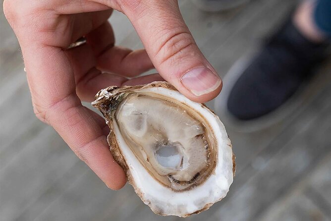 Charlottetown Food Walking Tour - Lobster On The Wharf and the oyster finale