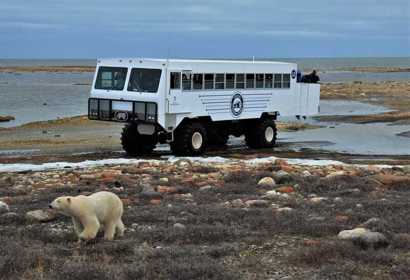 Churchill: Exclusive Tundra Buggy Day Trip - Food, facilities, and the long day