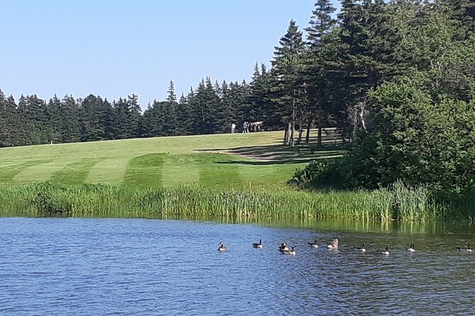 City Tour of Historic Charlottetown Prince Edward Island - Key points at a glance