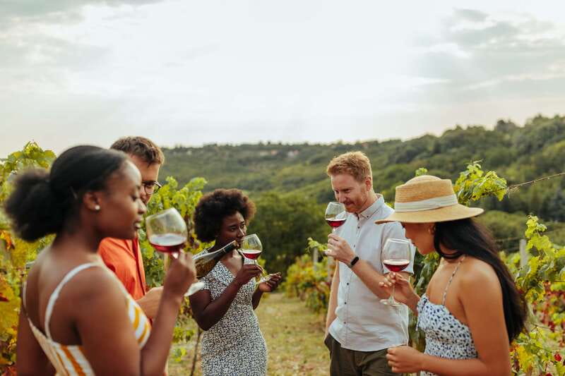 Collingwood: Blue Mountains Wine and Cider Tasting Tour - Key points to know