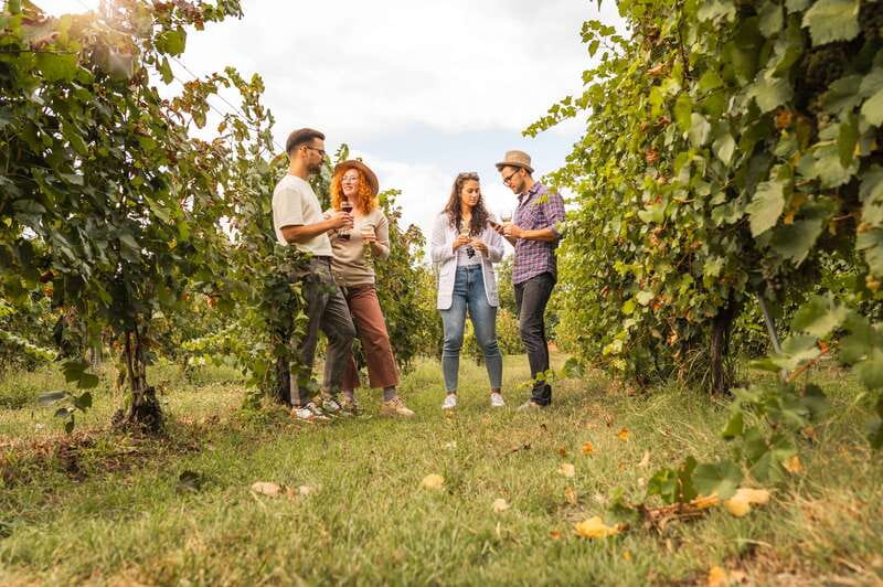 Collingwood: Blue Mountains Wine and Cider Tasting Tour - Spy Cider House and Distillery: the most playful finish