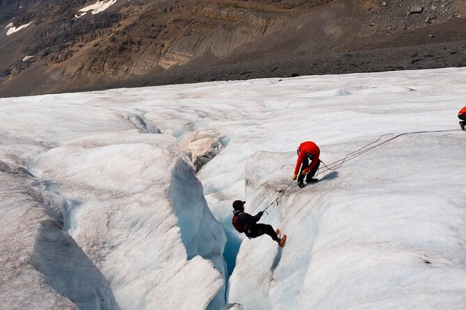 Columbia Icefield Adventure,Bow Lake,Peyto Lake in Banff & Jasper - The Skywalk offers height instead of ice