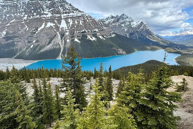 Columbia Icefield, Crowfoot Glacier and Bow ,Peyto Lake Tour - Why this 10-hour Rockies route works