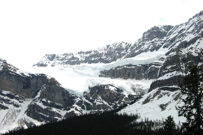 Columbia Icefield Glacier Adventure Day Tour from Calgary/ Banff - Transport, safety, and the less polished parts
