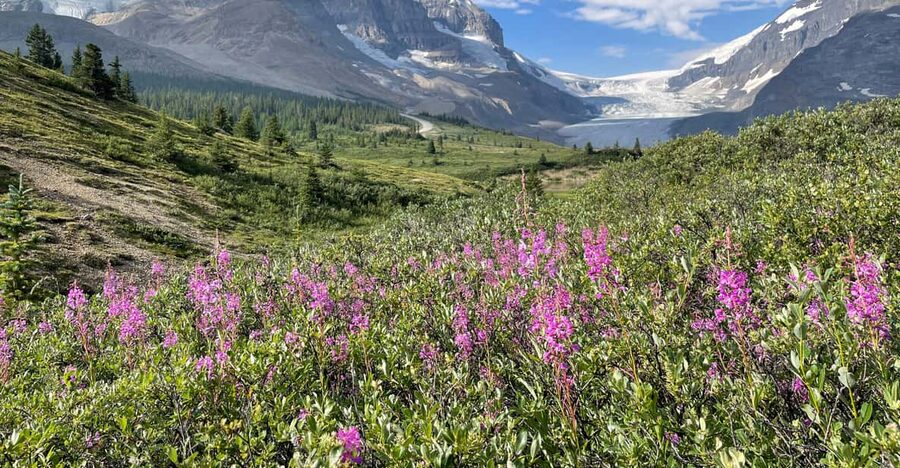 Columbia Icefield: Guided Glacier Hike - What makes the experience memorable