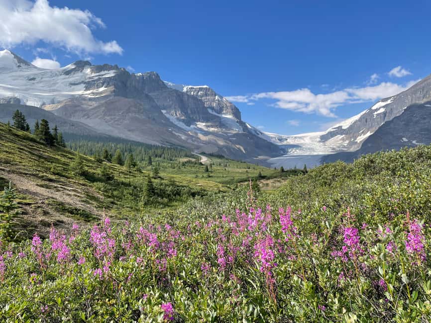 Columbia Icefield: Guided Glacier Hike - What you see on the ice