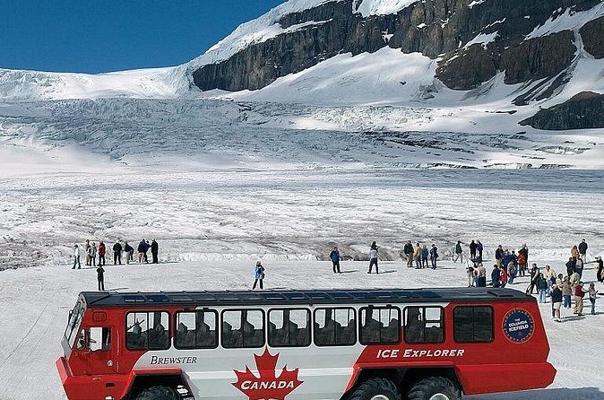 Columbia Icefield,Peyto Lake,Bow Lake Day Trip from Banff/Calgary - Bow Lake in a 20 minute stop