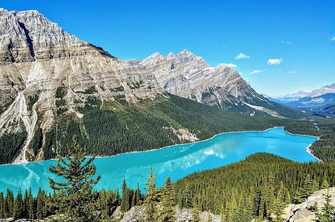 Columbia Icefield,Peyto Lake,Bow Lake Day Trip from Banff/Calgary - Peyto Lake and its wolf-shaped water