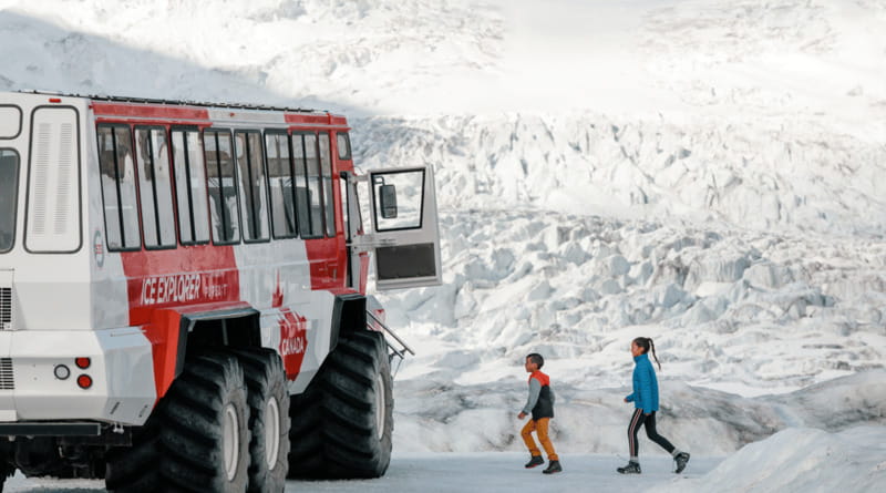 Columbia Icefield, Peyto Lake, Bow Lake Discovery Tour - Lunch is optional, not included