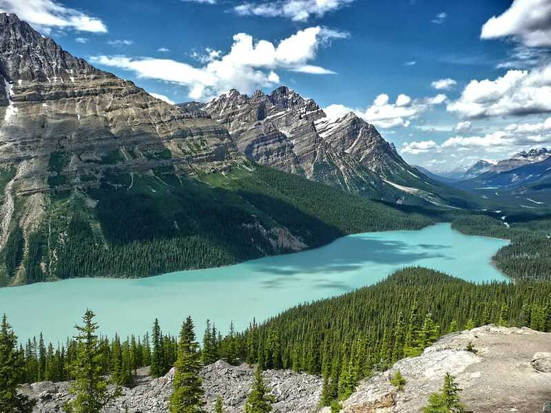 Columbia Icefield, Peyto Lake, Bow Lake Discovery Tour - Who should book this day trip?