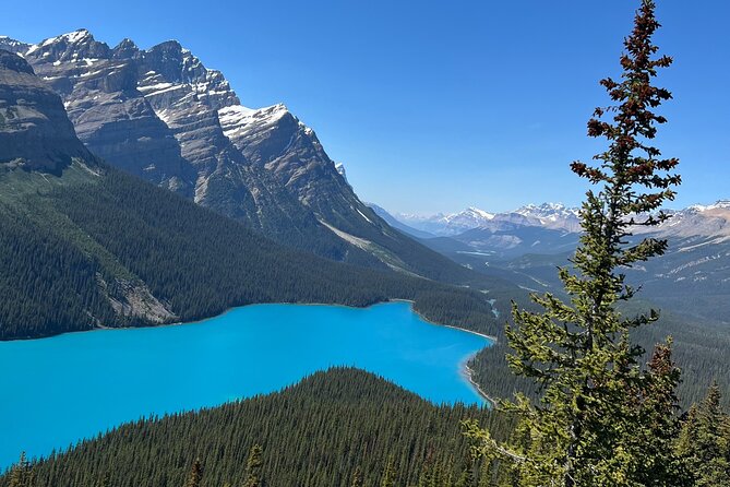 Columbia Icefield Peyto Lake Bow Lake from Calgary Canmore Banff - Wildlife, weather, and the limits of prediction