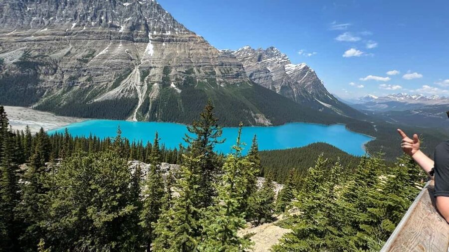 Columbia Icefield, Skywalk, Crowfoot Glacier, and Lakes Tour - Peyto Lake is the photographic star