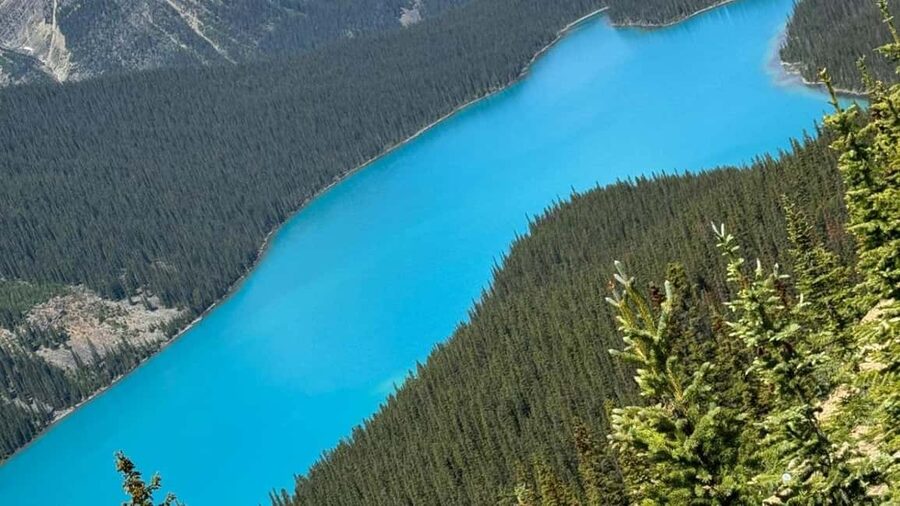 Columbia Icefield, Skywalk, Crowfoot Glacier, and Lakes Tour - Waterfowl Lakes offer a quieter pause