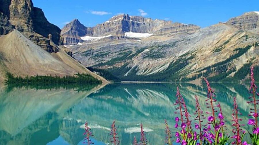 Columbia Icefield, Skywalk, Crowfoot Glacier, and Lakes Tour - The Icefields Parkway is part of the attraction