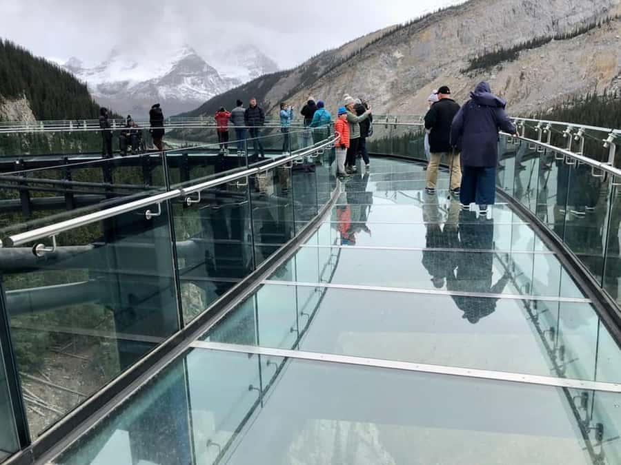 Columbia icefield, Skywalk, Waterfowl, Bow & Peyto Lake Tour - Bow Lake offers a classic roadside view