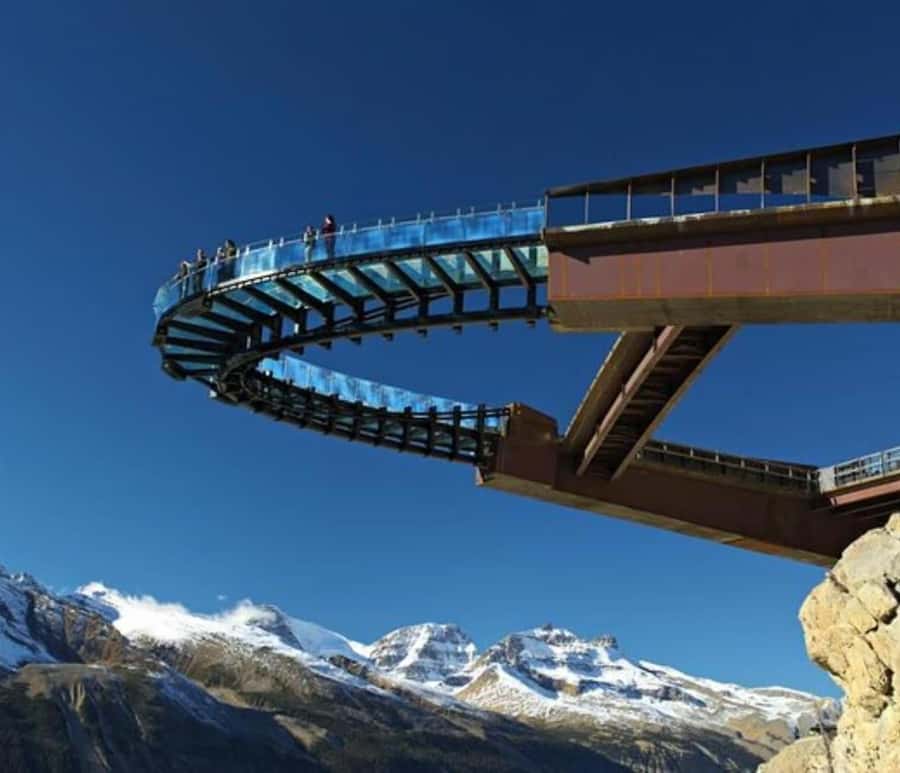 Columbia icefield, Skywalk, Waterfowl, Bow & Peyto Lake Tour - Peyto Lake is the color show