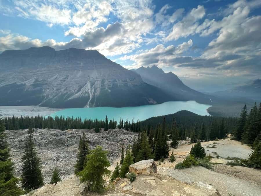 Columbia icefield, Skywalk, Waterfowl, Bow & Peyto Lake Tour - Waterfowl Lake and Glacier Lake add variety